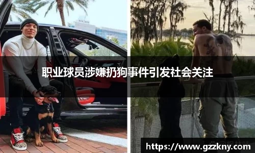 职业球员涉嫌扔狗事件引发社会关注
